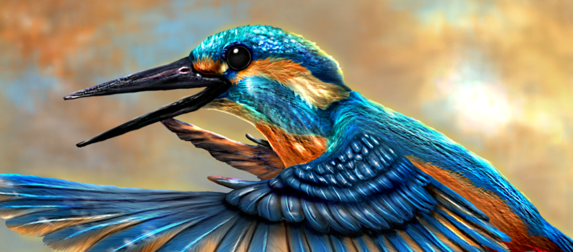 Work Through to Create a Beautiful Bird L