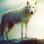 Making a Beautiful Background for an Animal