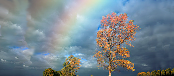 Add A Realistic Rainbow To A Photo