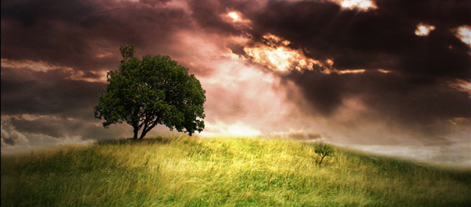 Create Natural Scenery - Photoshop