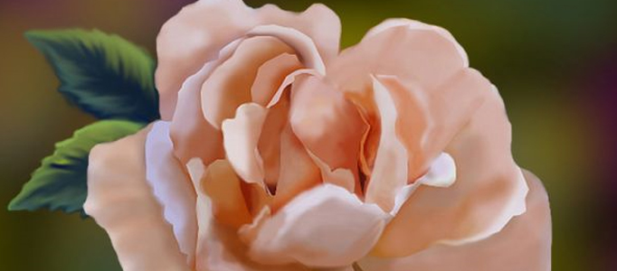 Create a Fabulous Rose in Photoshop Tutorial