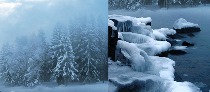 Create a Super Natural Snowing Scene