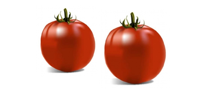 Realistic 3D Tomato Creation