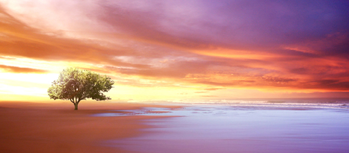 Create a Beautiful Natural Sunset Scenery