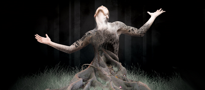 Create an Imaginative Tree Man