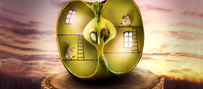 Create a Funny Apple House in Photoshop