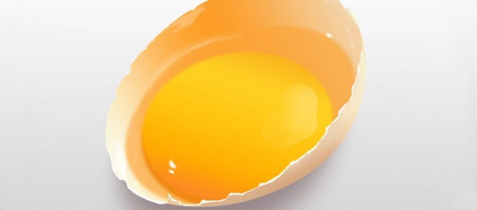 Drawing a Realistic Fresh Egg