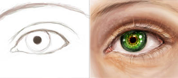 Drawing a Realistic Human Eye