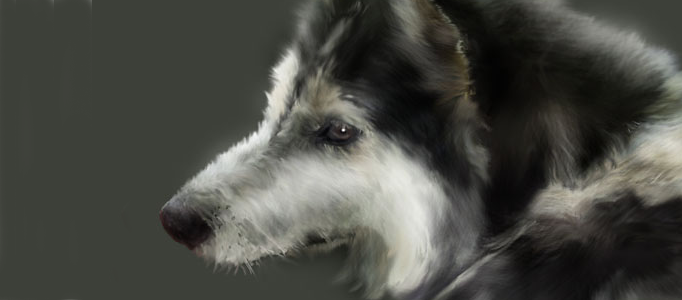 Making a Nice Dog Portrait