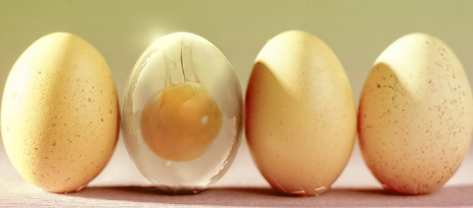 Making a Semi Transparent Egg