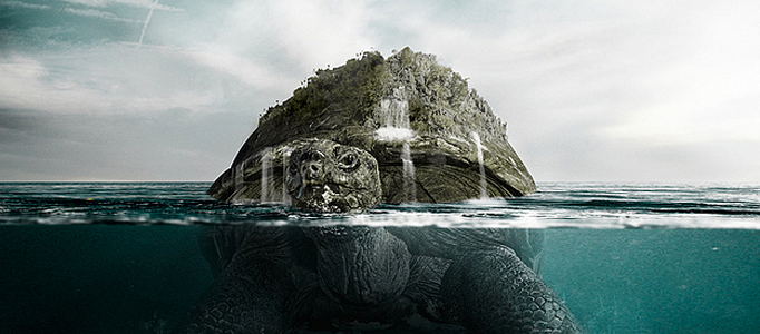 Create a Turtle Swimming in the Ocean