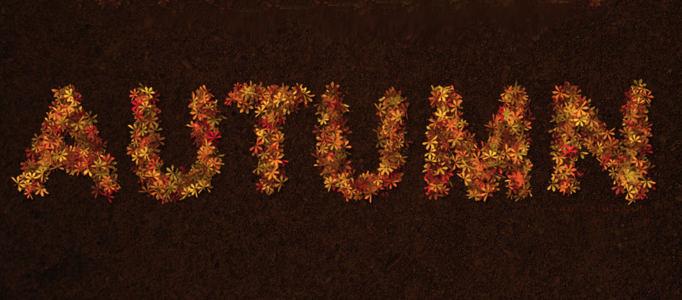 Making a Text Effect using Natural Leaves