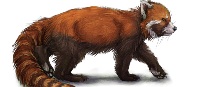 Drawing a Realistic Fur Animal