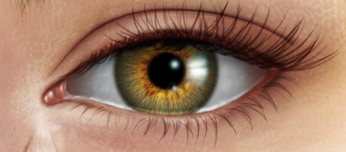 Human Eye Creation using Photoshop