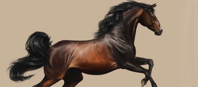 Digital Painting for a Realistic Horse