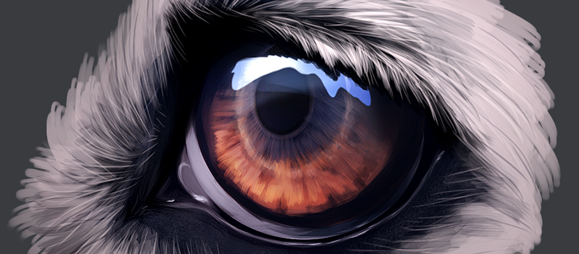 Create a Realistic Eye Nicely