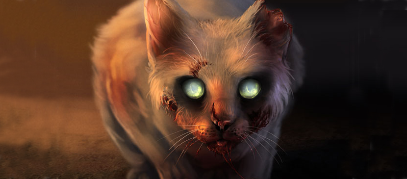 Manipulating a Zombie Cat