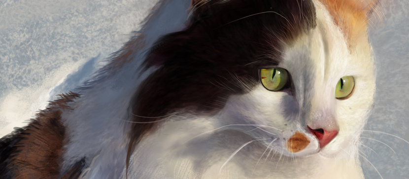 Drawing a Realistic Cat in Photoshop