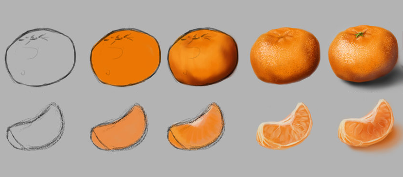 Work Through for Drawing a Mandarin