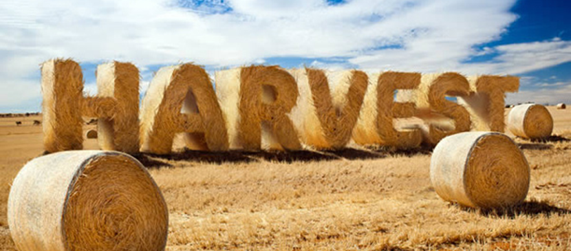Create Stylized Hay Bale Typography in Photoshop