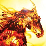 create an impressive flying horse using photoshop