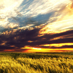 Create A Fantastic Natural Combination Scene in Photoshop