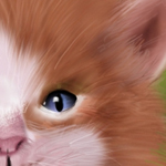 Draw Realistic Animal Furs using Photoshop
