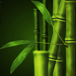 Draw a Nice Bamboo Artwork using Photoshop