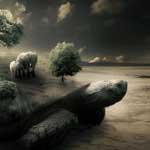 A Supernatural Turtle Creation