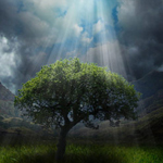 Create a Paradise Lighting and Photo Combination Effect