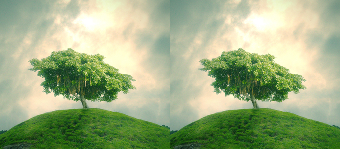 Photo Combination - Green Tree under Cloudy Sky