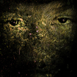 Create a Special Grassy Effect on a Human Face