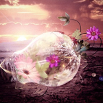 Create an Interesting Flower Growing Scenery