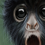 Drawing a Hair Monkey