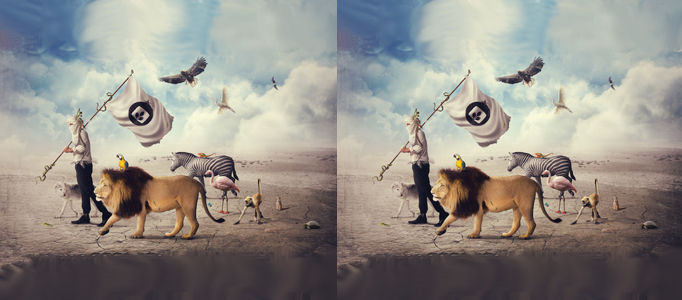 Super Nice Scenery - Human and Animals Walks