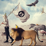 Super Nice Scenery Human and Animals Walks