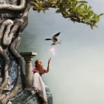 Create a Dramatic Wonderland