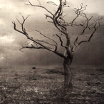 Making a Natural Scenery in an Traditional Style