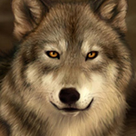 Drawing Fantastic Fur for Animals