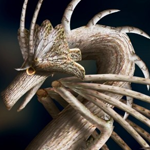 Forming a Realistic Wooden Beast