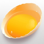 Drawing a Realistic Fresh Egg