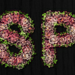 Making of a Flowery Text Effect