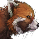 Drawing a Realistic Fur Animal