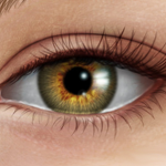 Human Eye Creation using Photoshop