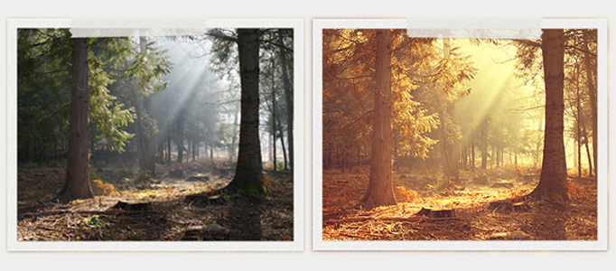 Making a Natural Sunset Scenery