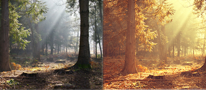 Making a Natural Sunset Scenery L