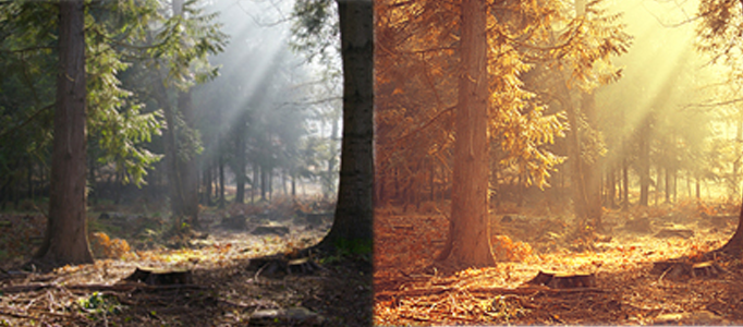 Making a Natural Sunset Scenery L