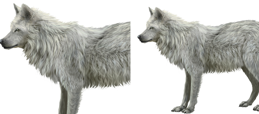 Tips of Painting Realistic Furs for Animals L