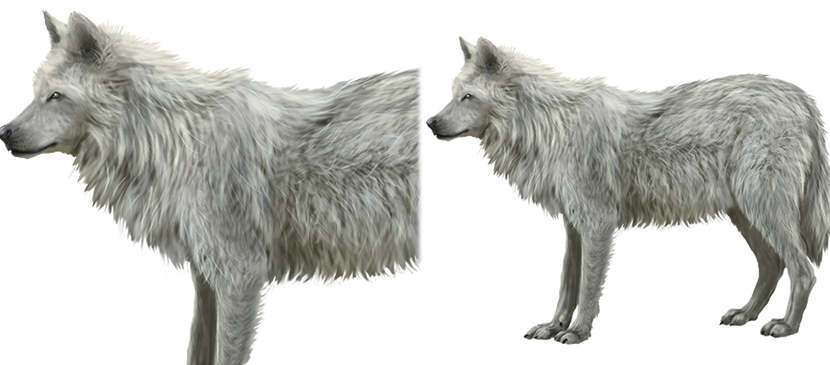 Tips of Painting Realistic Furs for Animals L