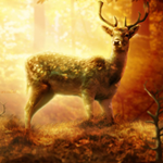 Photo Manipulation for a Wild Animal